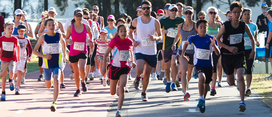Sri Chinmoy Sydney Series 7: Iron Cove Race Report