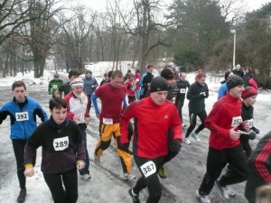 start-1101.JPG