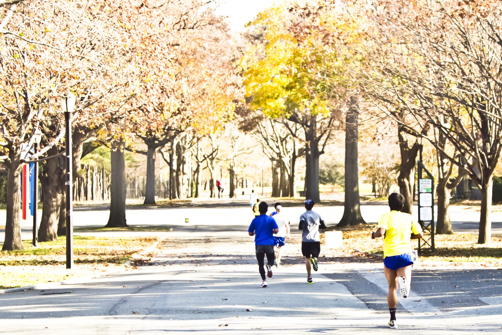 Sri Chinmoy Thanksgiving Day 5K & 10K